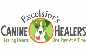 Canine Healers